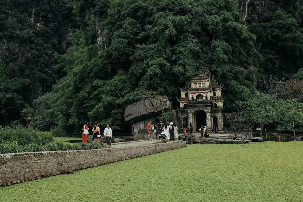 Bich Dong Pagoda captivates visitors with its peaceful ambiance, moss-covered stone steps, and panoramic views of lotus lagoon (Source: Pexels)